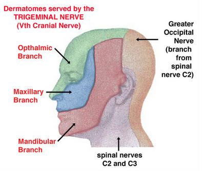 What medicine treats facial numbness?