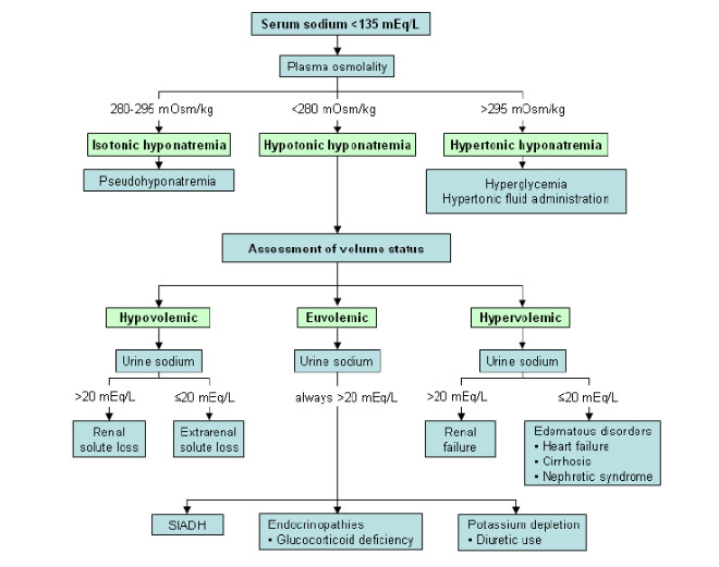 Can A Low Sodium Diet Cause Hyponatremia Treatment