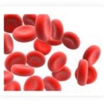 Cancer cells self seed, promoting tumor growth and metastasis