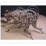 Cockroach studied to build running robot could help amputees