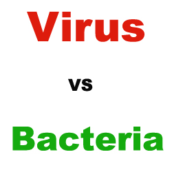 virus and bacterial infections