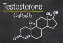 testosterone molecule
