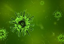 Viral Infection Symptoms viral infections