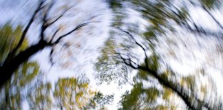 dizziness